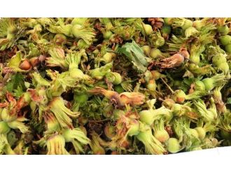 Fındık Üreticisi Yollarda Tezgah Açtı