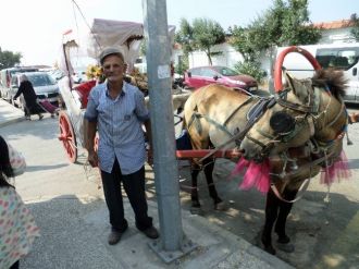 Mudanya Sahilinde Fayton Sefası