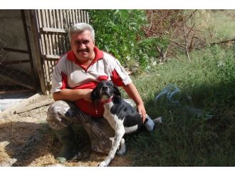 Kaybolan Köpeğine Kavuştu
