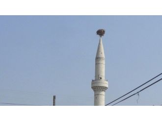 30 Yıllık Leylek Yuvası Köyün Simgesi Oldu