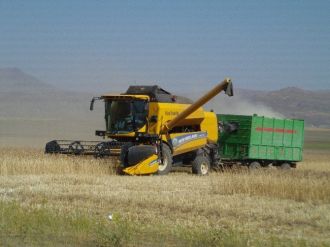 Özalp’ta Buğday Hasadı Başladı