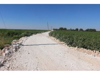 Dalbaşı Mahallesi’nde Stabilize Yol Yapımı Tamamlandı