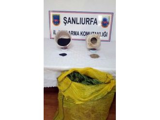 Şanlıurfa’da Uyuşturucu Operasyonu