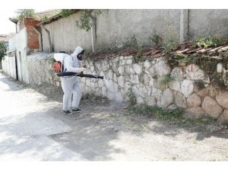Odunpazarı’ndan Haşereye Karşı İlaçlama Çalışmaları