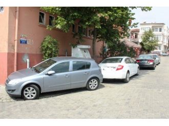 Sokak Hayvanlarına Hatalı Park Engeli