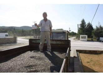 Keşan’da Yılık İlk Ayçiçeği 2,50 Tl’den Satıldı