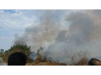 Dalyan Sazlığı Yine Yandı