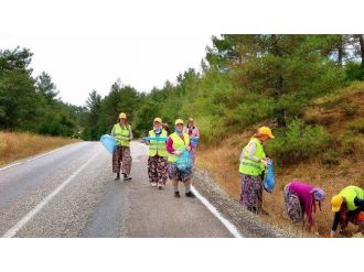 Orman İşçilerinden Çevre Temizliği