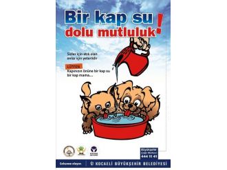 Sokak Hayvanlarına “Bir Kap Su Dolu Mutluluk” Projesi