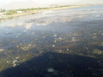 Van Gölü Çöpten Geçilmiyor