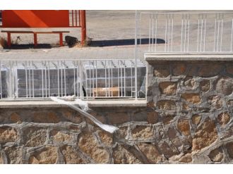 Kaymakamlık Bahçesindeki Şüpheli Paket Korkuttu