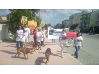 Belediyeye Kızan Hayvanseverler Eylem Yaptı