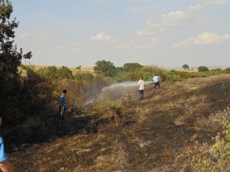 Tekirdağ’da Mera Yangını