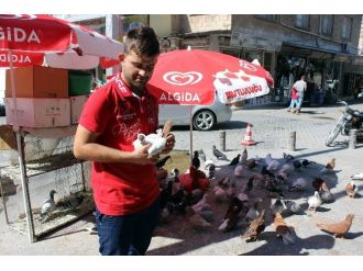 Güvercin Yetiştiriciliğine Rağbet Artıyor