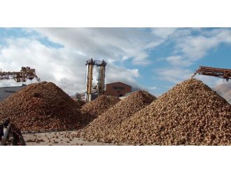 Elbistan’da Şeker Pancarı Kampanya Dönemi 17 Eylül’de Başlıyor