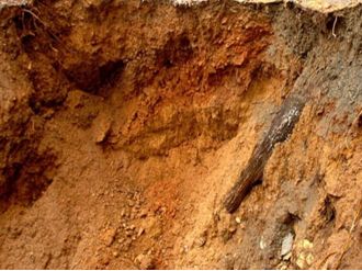 Çin’de Toprak Kayması : 26 Ölü, 40 Kişi Kayıp