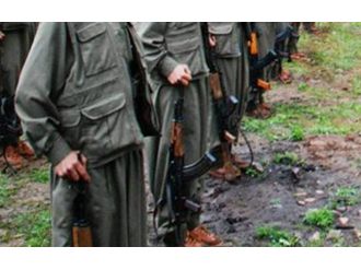 7 Pkk’lı Teslim Oldu