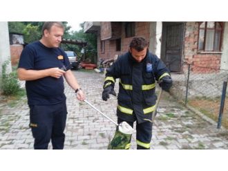 Eve Giren Yılanı İtfaiye Ekipleri Çıkarttı