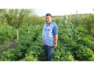 Balıkesir’de Emeklinin Hobi Bahçesi