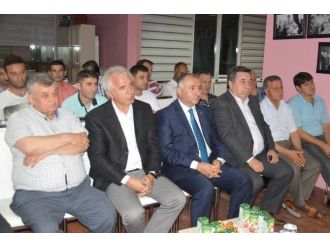 Orhangazi’de Spor Zirvesi