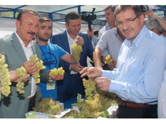 İzmit’te Tarımsal Ürün Festivali