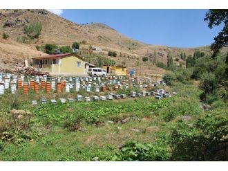 Oltu’da Bal Sezonu Başlıyor
