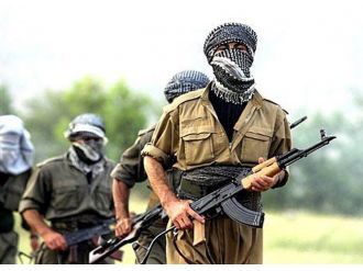 1 Pkk’lı Teslim Oldu