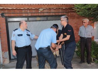 Eskişehir’de Koyun Kurtarma Operasyonu