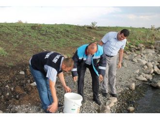 Aygır Ve Deniz Gölünde Balıklandırma Çalışması Yapıldı
