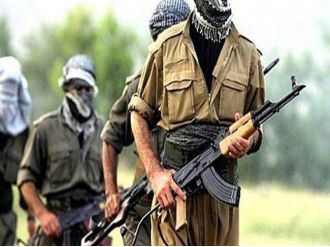 Siirt’te 1 Pkk’lı Teslim Oldu