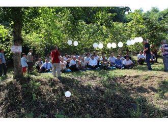İkizce’de Fındıkta Verimi Artırma Çalışmaları