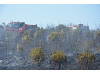 Bir Tabela Yüzünden 5 Hektar Orman Kül Oldu