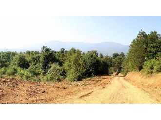 Akyazı Aksartepe Projesi Yol Çalışmalarıyla Başladı