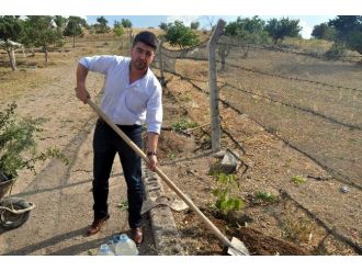 Mhp Merkez İlçe Başkanı Kalfaoğlu, Şehitler İçin Fidan Dikti