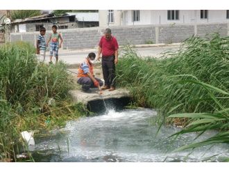 Sinekten Uzak, Temiz İlçeler İçin Gece Gündüz Mesai