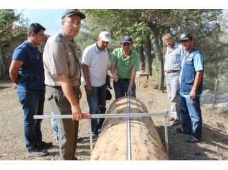 Pos Çamının Metreküpü 900 Tl’den Alıcı Buldu