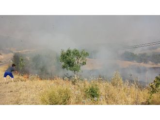 Pkk, Askeri Pusuya Düşürmek İçin Orman Yaktı