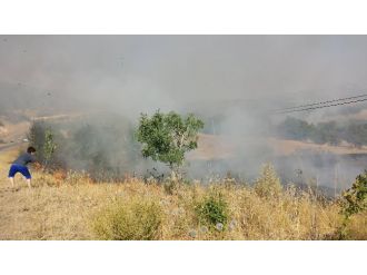 Terör Örgütü Pkk Bunu Da Yaptı !