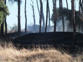 Yerleşim Alanı Yakında Çıkan Yangın Korkuttu