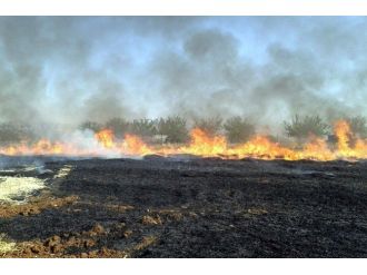 Anız Yangını Korkuttu