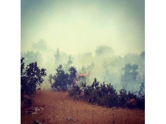 Eruh’ta Orman Yangını