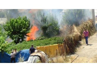 Kulp’ta Korkutan Yangın