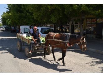 Ürün Pazarlamasına At Arabalı Çözüm