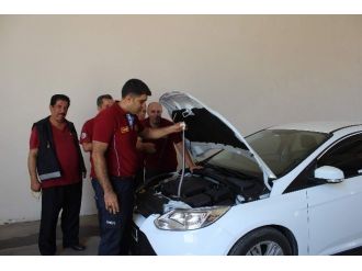 Otomobilden Yılan Çıktı