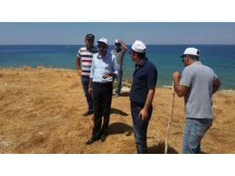 Tuşba Belediyesi’nden Çarpanak Adası’nda İnceleme