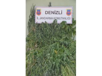 Denizli’de Uyuşturucu Operasyonu: 5 Gözaltı