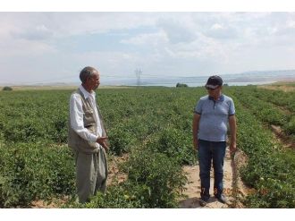 Tso’dan Endüstriyel Tarıma Destek