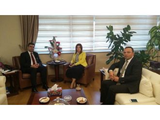 Ak Heyetten Bakan Yardımcısına Ziyaret