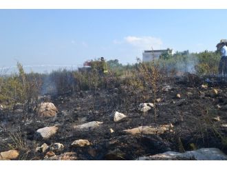 Bilecik’te Ot Yangınının En Şanslısı