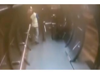 Canını Zor Kurtardı